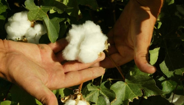 CottonIndustry